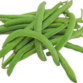 Hectarul - Seminte Fasole pitica verde rotunda Harvester  TRATAT NOU AGROSEM 25 kg